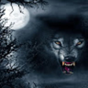 Meet your Posher, Benton